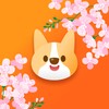 影音视频播放器